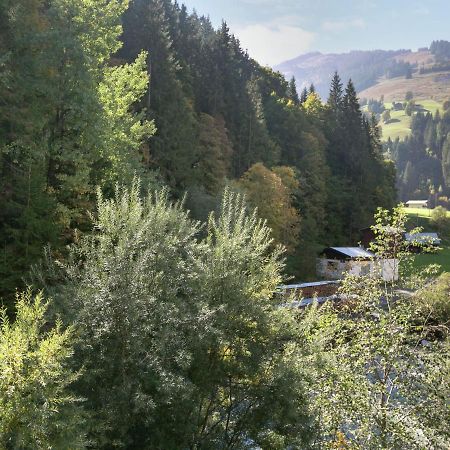 Apartment In Salzburgerland Near The Ski Area Viehhofen Εξωτερικό φωτογραφία