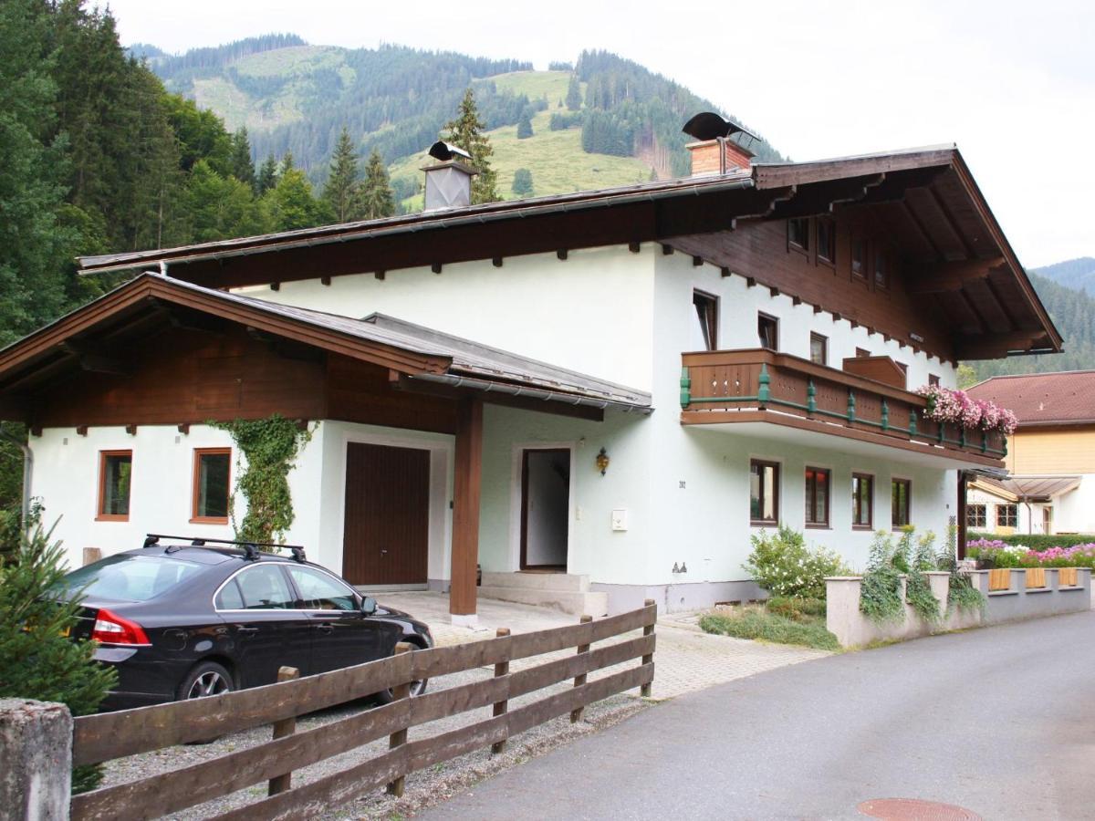 Apartment In Salzburgerland Near The Ski Area Viehhofen Εξωτερικό φωτογραφία