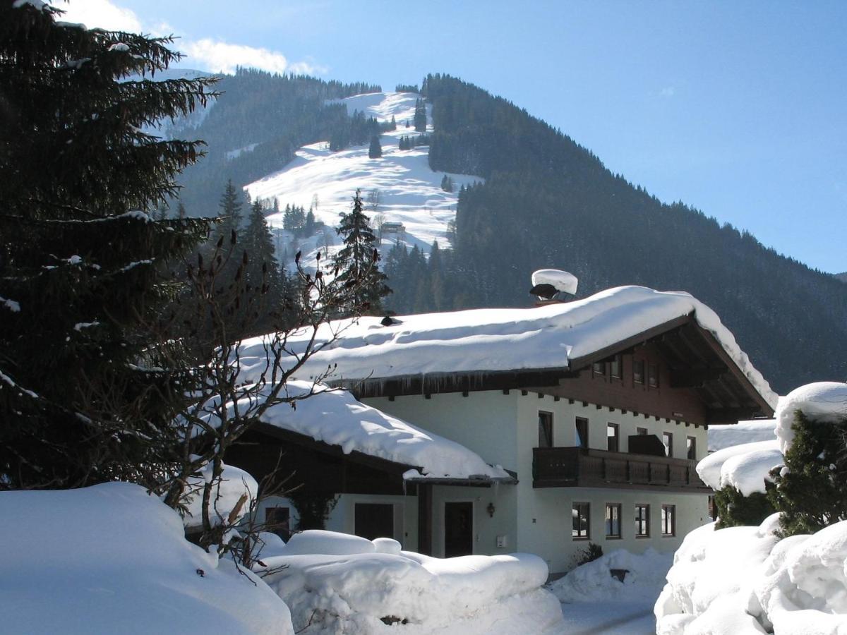 Apartment In Salzburgerland Near The Ski Area Viehhofen Εξωτερικό φωτογραφία