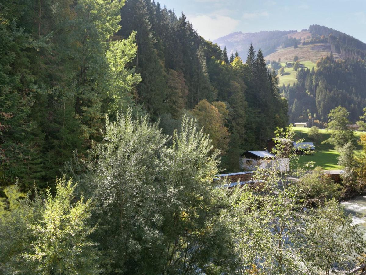 Apartment In Salzburgerland Near The Ski Area Viehhofen Εξωτερικό φωτογραφία