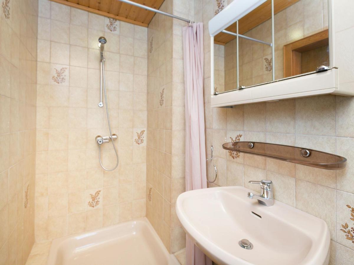Apartment In Salzburgerland Near The Ski Area Viehhofen Εξωτερικό φωτογραφία
