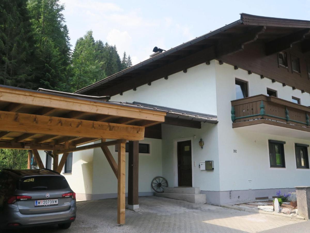 Apartment In Salzburgerland Near The Ski Area Viehhofen Εξωτερικό φωτογραφία