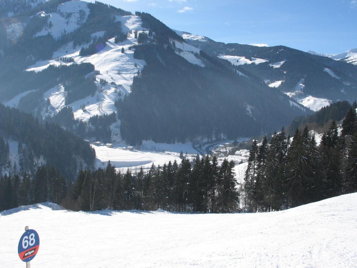 Apartment In Salzburgerland Near The Ski Area Viehhofen Εξωτερικό φωτογραφία