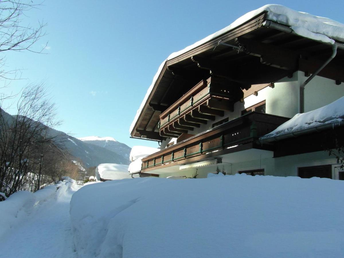 Apartment In Salzburgerland Near The Ski Area Viehhofen Εξωτερικό φωτογραφία