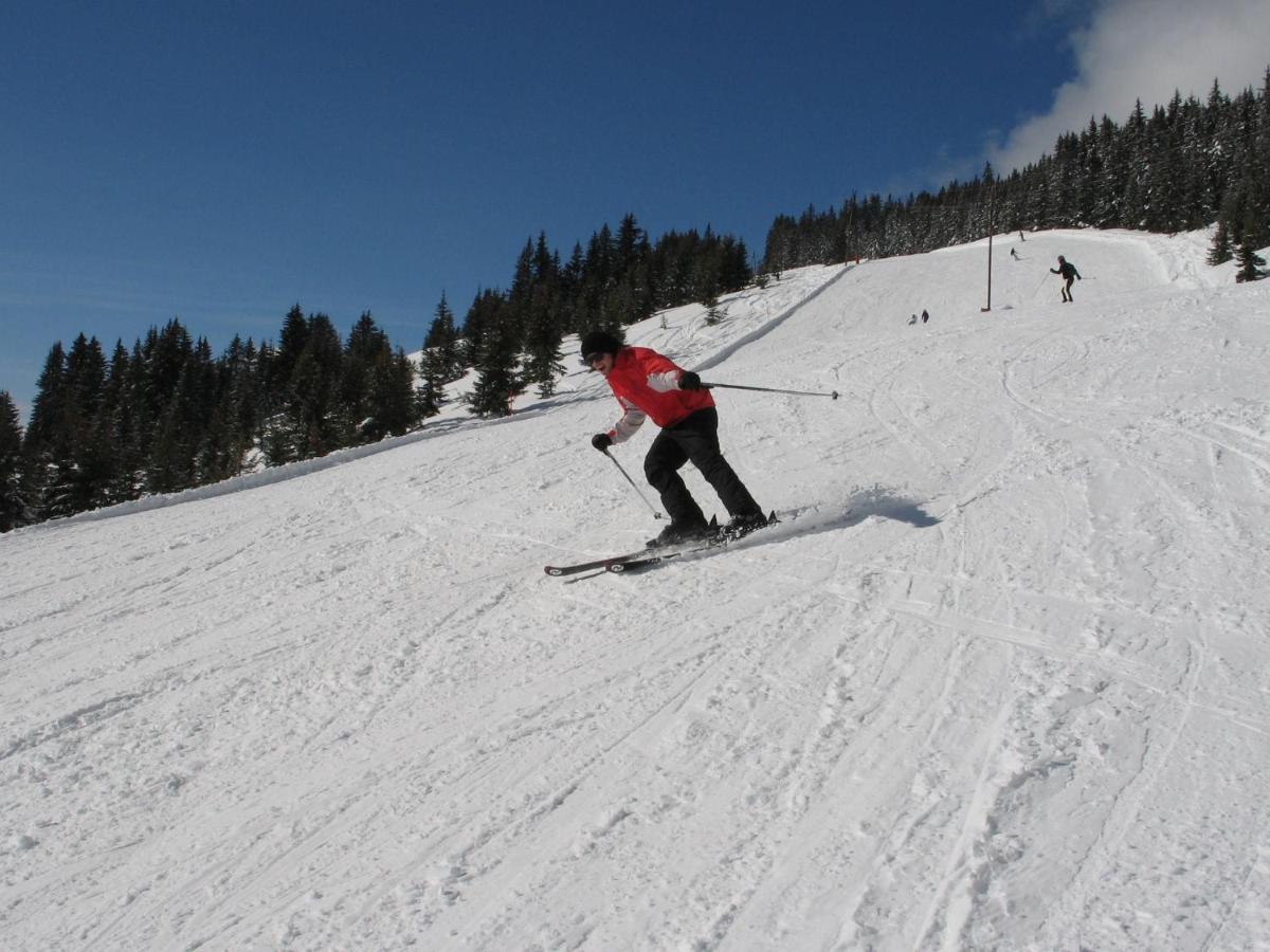 Apartment In Salzburgerland Near The Ski Area Viehhofen Εξωτερικό φωτογραφία
